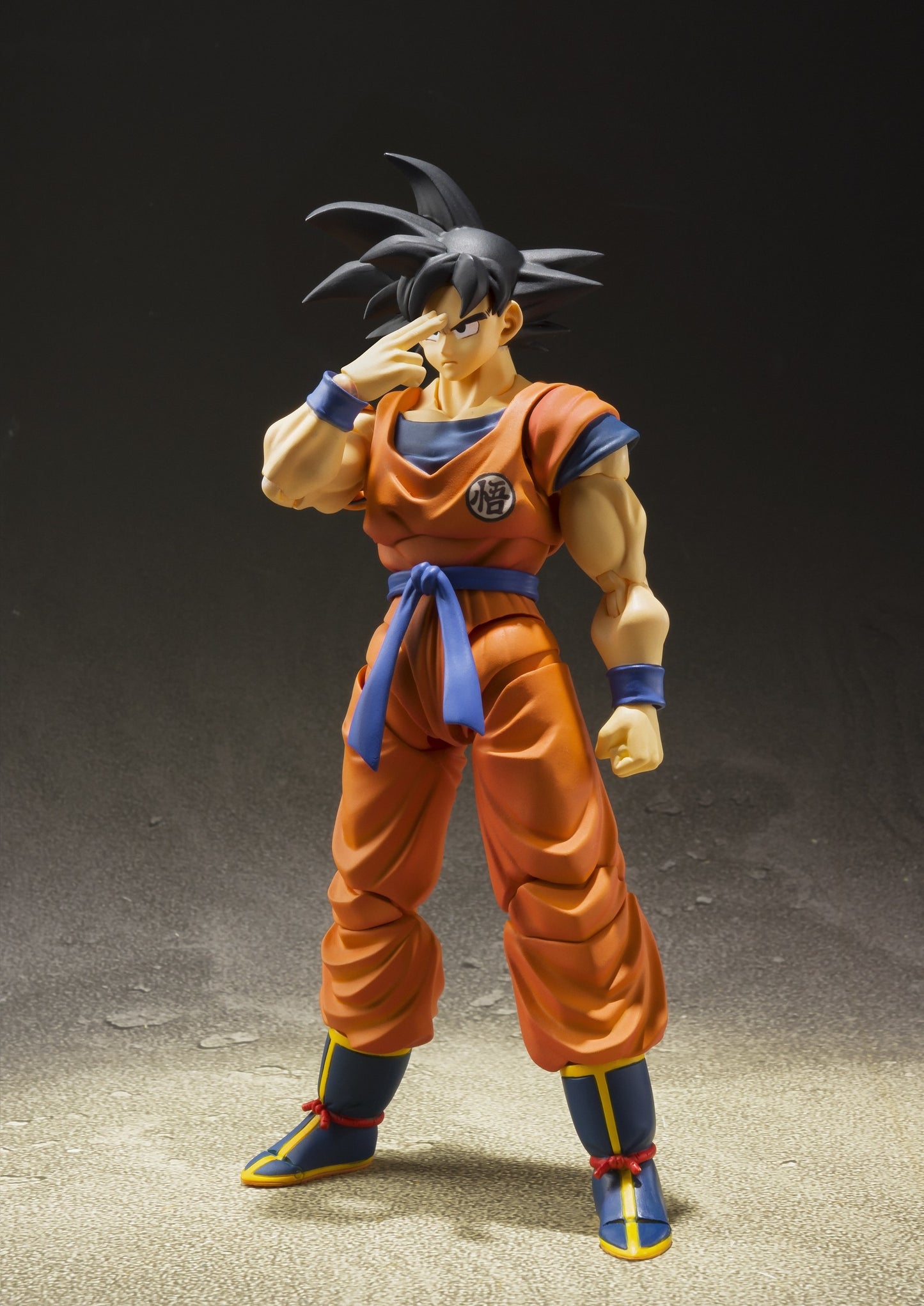 Son Goku -A Saiyan Raised On Earth- Dragon Ball Z